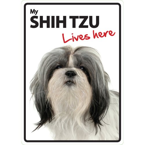 Magnet & Steel 23-3615 Señal A5 Shih Tzu - Lives Here, 14.8 x 21 cm