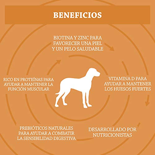 Marca Amazon - Solimo - Alimento seco completo para perro adulto rico en pavo con guisantes, 1 Pack de 5 kg