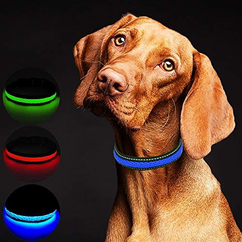 MASBRILL USB Collar de Perro LED Recargable Iluminado Collar Intermitente Luces La Seguridad Ajustable Neck Loop