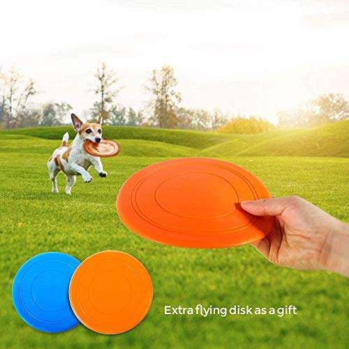 Masthome Túnel De Agilidad para Perros y Gatos,Tubo Plegable para Mascotas,505cm de Largo,con 2 Frisbee para Perros