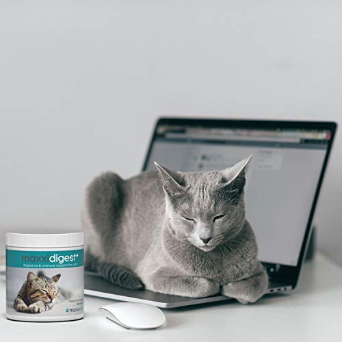 maxxicat – maxxidigest+ Probióticos, prebióticos y enzimas digestivas para Gatos - Ayuda Avanzada a la digestión Felina & al Sistema inmunológico - Sin Polvo OGM - Polvos 200 g