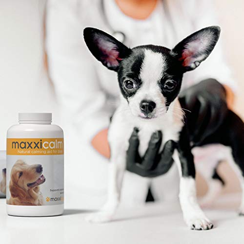 maxxidog - maxxicalm - Ayuda Calmante para Perros – Alivia el Estrés y la Ansiedad - Ingredientes Naturales - No somnoliento - 120 Comprimidos