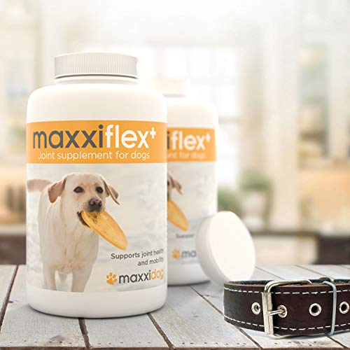 maxxidog - maxxiflex+ Suplemento avanzado para las articulaciones del perro - Glucosamina, condroitina, MSM, ácido hialurónico, garra del diablo, bromelina, cúrcuma - 120 sabrosas tabletas