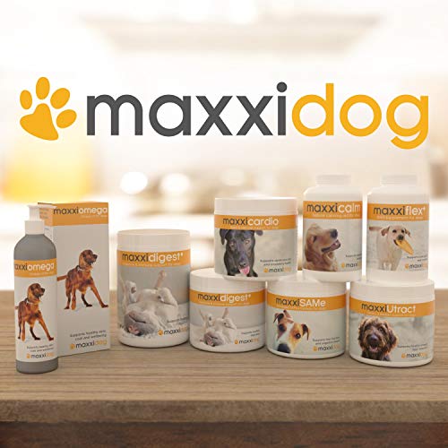 maxxidog - maxxiflex+ Suplemento avanzado para las articulaciones del perro - Glucosamina, condroitina, MSM, ácido hialurónico, garra del diablo, bromelina, cúrcuma - 120 sabrosas tabletas