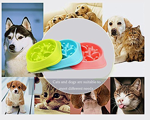 Meiwash Perro de Mascota Slow Food Bowl Anti-estrangulación Bowl Mascotas Suministros Perros Grandes y pequeños Perder Peso para Ayudar a la digestión Utensilios(Rojo)