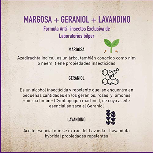 MENFORSAN  Champú Anti-Insectos con Margosa, Geraniol Y Lavandino - Gatos 300 ml