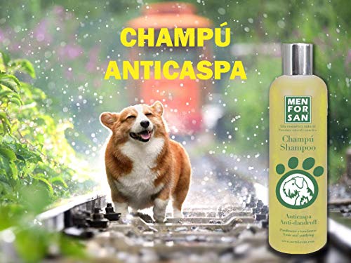 MENFORSAN  Champú Perros Anticaspa - 300 ml, Paquete de 2