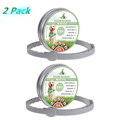 MENGZF Collar Antiparasitario para Perros y Gatos,(2 Piezas) Collares Antipulgas y Garrapatas Ajustable Longitud para Perros Pequeño Mediano Grandes,8 Meses de protección, Resistente al Agua