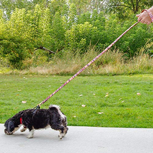 MMWW Guinzagli per cani, 4 piedi, guinzagli per cani, Gatti da passeggio, guinzagli per cani in Pelle imbottiti con cordino in Piombo per cani di Piccola Taglia Media con manico morbido-White_120cm