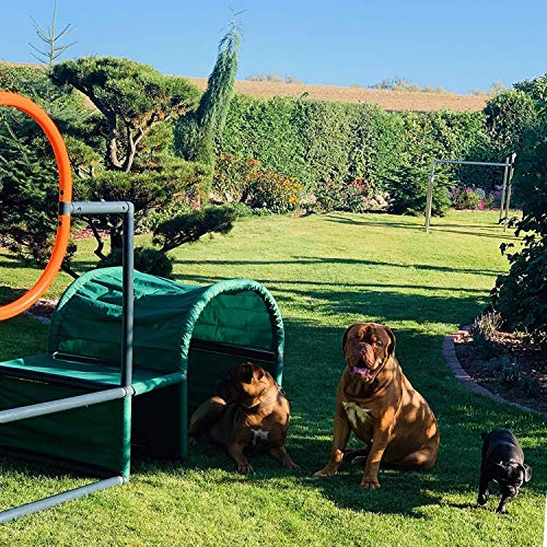 move and stic – Perro Agility-Hürde Slalom Ejercicio Perro Deportes Entrenamiento Hurdle Set Extra Robusto Desde 5 cm Kunstoffrohren Variable Ajustable