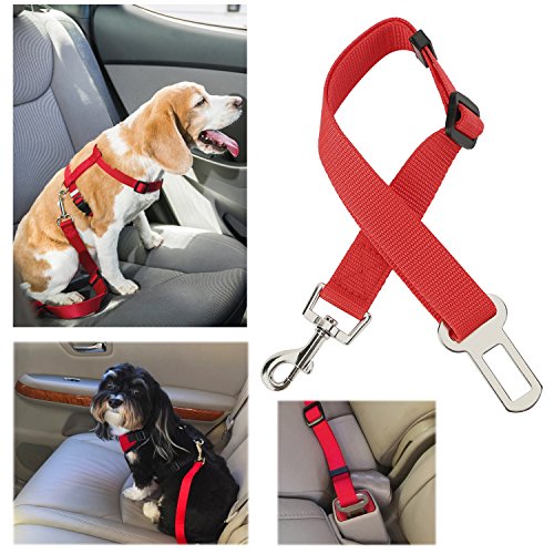 MUNSTER 2* Cinturón de Seguridad de Coche Universal Para Perros(10-30KG) Correa de Seguridad Ajustable para Viaje con Mascotas en Coches Vehículos