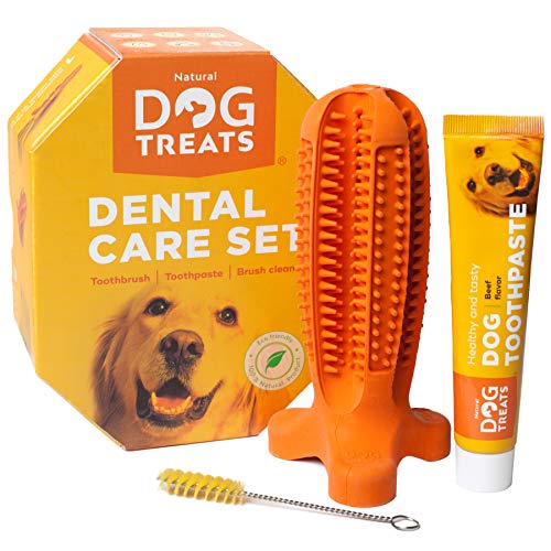 Natural Dog Treats Cepillo de Dientes y Dentífrico Set para Perros, 100% Natural Caucho Dog Brushing Stick, Juguete para Masticar