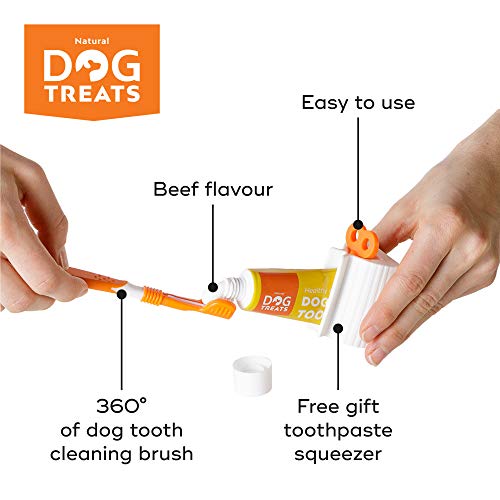 Natural Dog Treats Cepillo y 4X Dentífrico Set para Perros, Set Higiene Dental, Pasta de Dientes Sabor a Carne, Cuidado Dental Comestible