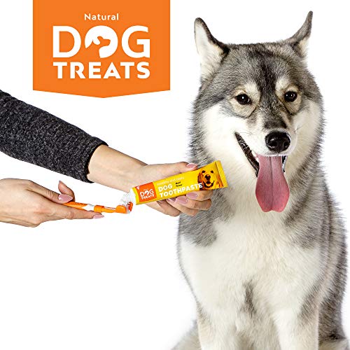 Natural Dog Treats Cepillo y 4X Dentífrico Set para Perros, Set Higiene Dental, Pasta de Dientes Sabor a Carne, Cuidado Dental Comestible