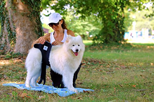 Nature Pet Hygiene - Pantalones Sanitarios para Perros/Perros, Pantalones de incontinencia para Perros/pañales para Perros