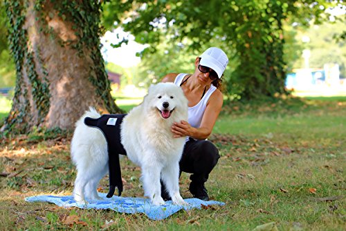 Nature Pet läufig keits Pantalones para hündinnen/incontinencia Pantalones para rüden/Perros Pantalón Protector, Neopreno Perforado (S de l)