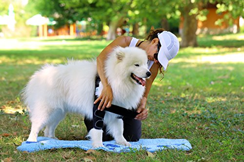 Nature Pet Vendaje de Codo para Perros/Vendaje para Callos/Vendaje de Codo/Vendaje de Perro en Caso de higroma (S, Rojo)