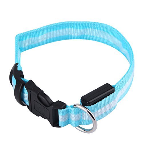 NEO+ Visibilidad para Perros y Collar LED de Seguridad. USB Recargable, no Necesita baterías. Su Perro será más Visible y Seguro (Medio DE TAMAÑO Azul)