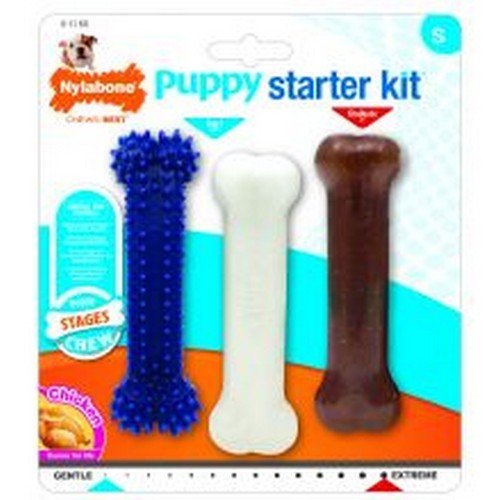 Nylabone Cachorro Starter Kit