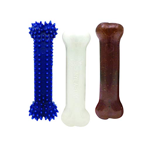 Nylabone Cachorro Starter Kit