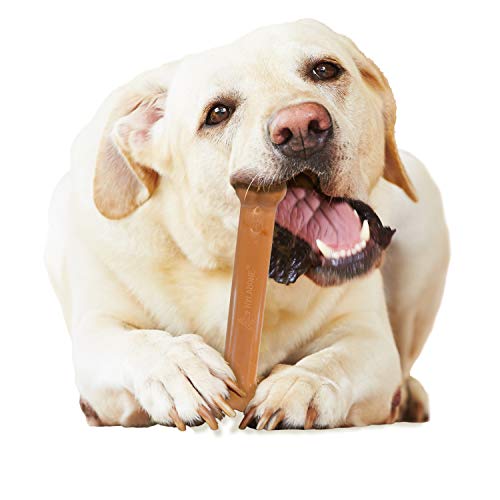 Nylabone Dura Chew Bacon y pollo Perro – Chucherías para Extreme chewers, grande