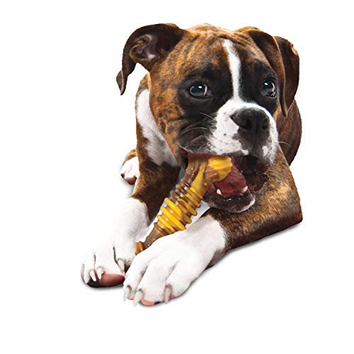 Nylbone Extreme Chew Texture Bone Steak&Cheese XL