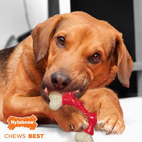 Nylbone JU01645 Extreme Chew Double Bone S