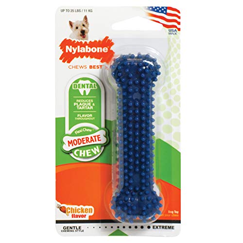 Nylbone Plaque Attacker Mediano, Azul, Regular/Small