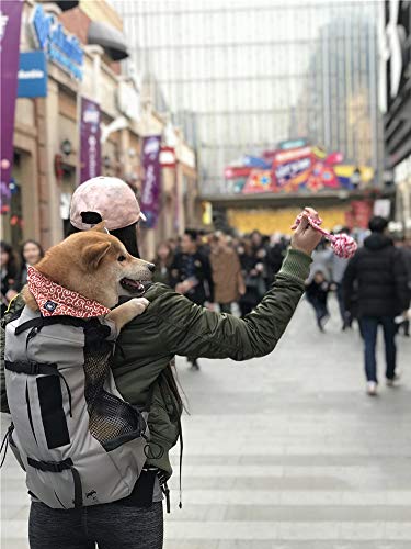 OMEM Mochila para Transportar Mascotas, Disfruta del Paisaje en el Camino con tu Mascota, no te quedes Atrapado en la Mochila, con Tiras Reflectantes y Silbato Salvavidas para Exteriores