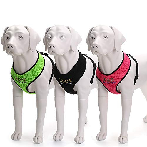 Oncpcare - Arnés para Perro con Nombre y número de teléfono Bordado, Collar de identificación Personalizado, Chaleco Acolchado de Malla Suave para Perros