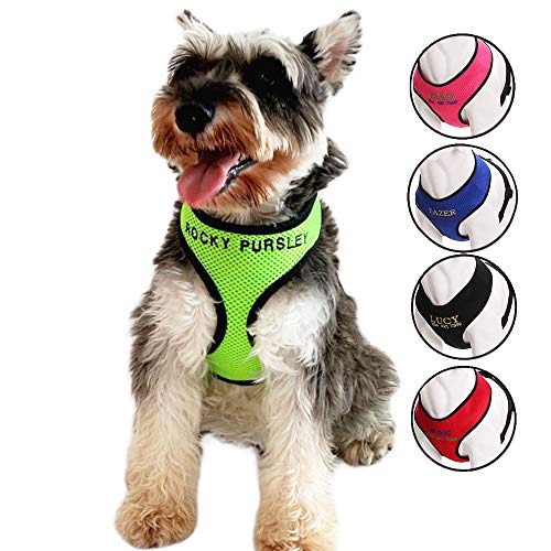 Oncpcare - Arnés para Perro con Nombre y número de teléfono Bordado, Collar de identificación Personalizado, Chaleco Acolchado de Malla Suave para Perros