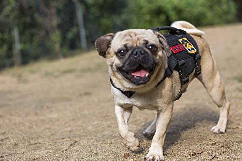 OneTigris Molle Arnés Táctico para Cachorros de Perros pequeños, Ajustable Arnés para Caza, Senderismo, Entrenamiento, Paseo, Actividades al Aire Libre