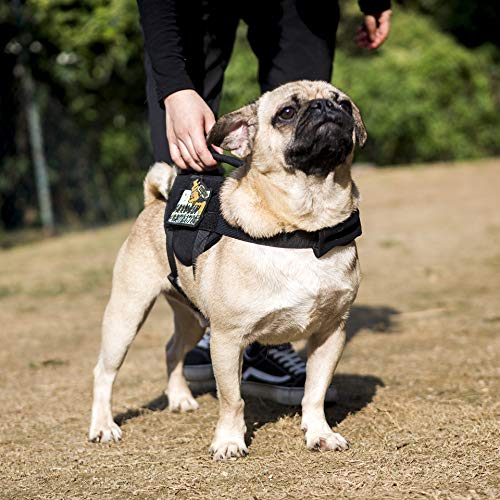 OneTigris Molle Arnés Táctico para Cachorros de Perros pequeños, Ajustable Arnés para Caza, Senderismo, Entrenamiento, Paseo, Actividades al Aire Libre