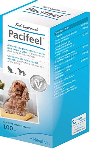 Pacifeel 100 Ml Jarabe 1 Unidad 100 ml