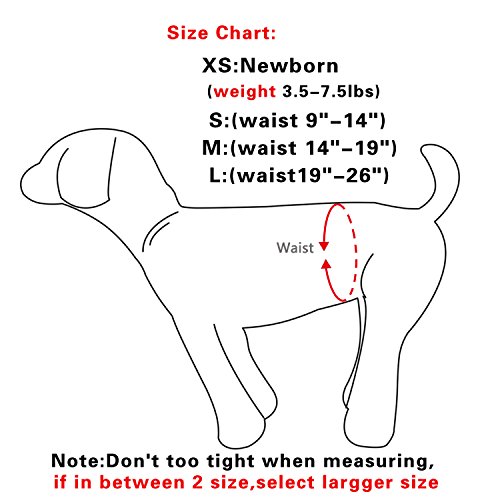 Pañales para perras (3 unidades) cachorras, cómodos, duraderos, reutilizables, tamaño pequeño, de JoyDaog