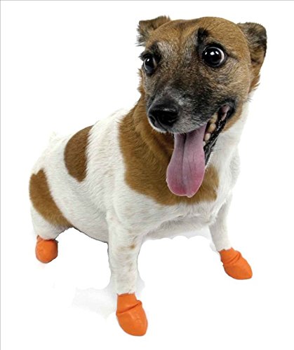 PAWZ Impermeable Botas de Perro, XS