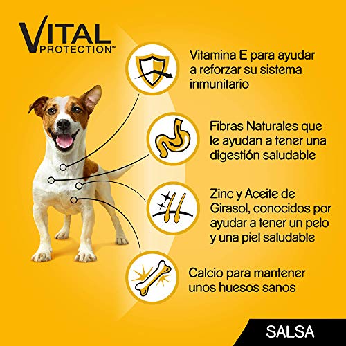 Pedigree Multipack de 12 bolsitas de 100g para perros adultos mixto (Pack de 4)