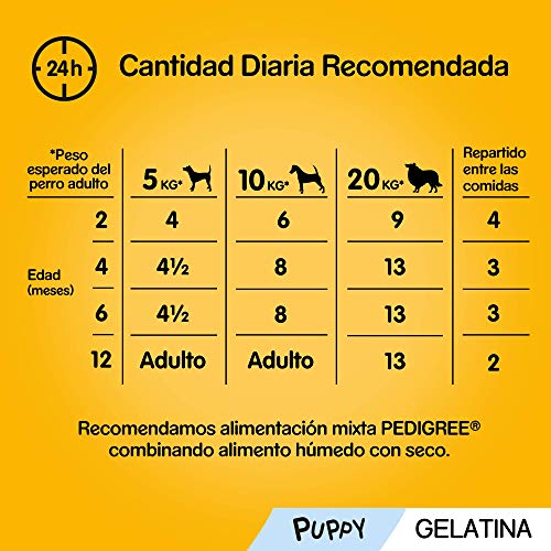 Pedigree Multipack de 4 bolsitas de 100g para perros junior de pollo, buey y arroz (Pack de 13)