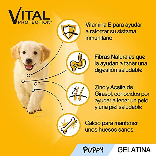 Pedigree Multipack de 4 bolsitas de 100g para perros junior de pollo, buey y arroz (Pack de 13)