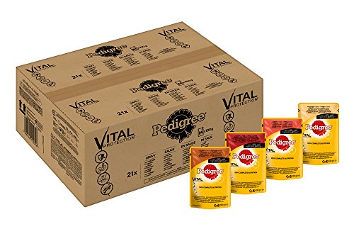 PEDIGREE Vital Protection Comida para perros con pollo y cordero en gelatina - Caja de 84 bolsitas x 100 g (Total: 8.4 kg)