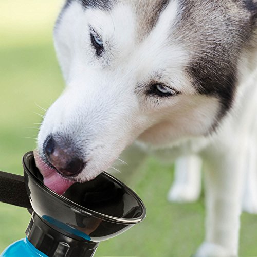 Perros Botella con Hidratación integrado napf Viaje Agua Botella Auto Perros con agua de napf 600 ml