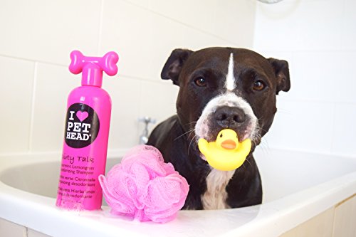 Pet Head Dry Clean Spray