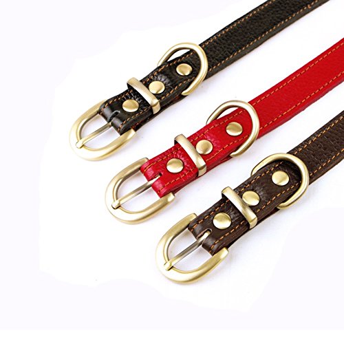 Pet Online Luz suave cuero collar de perro collar de perro pequeño, marrón, 4.0*26~33cm