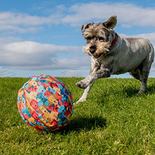 PetBloon Globo de Juguete para Perro – Globo Divertido para Jugar para Perros