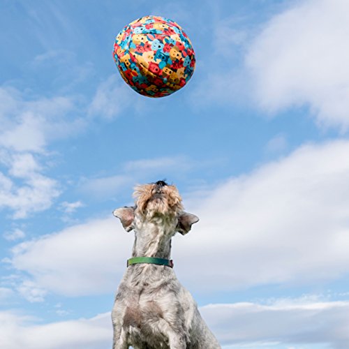 PetBloon Globo de Juguete para Perro – Globo Divertido para Jugar para Perros