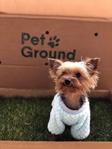 PetGround, césped Natural para Mascotas: 1ª Alternativa Natural y ecológica, a los empapadores para Perros