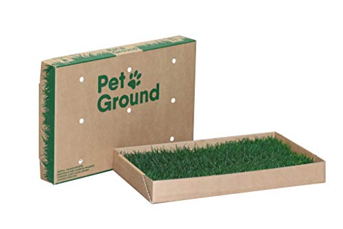 PetGround, césped Natural para Mascotas: 1ª Alternativa Natural y ecológica, a los empapadores para Perros