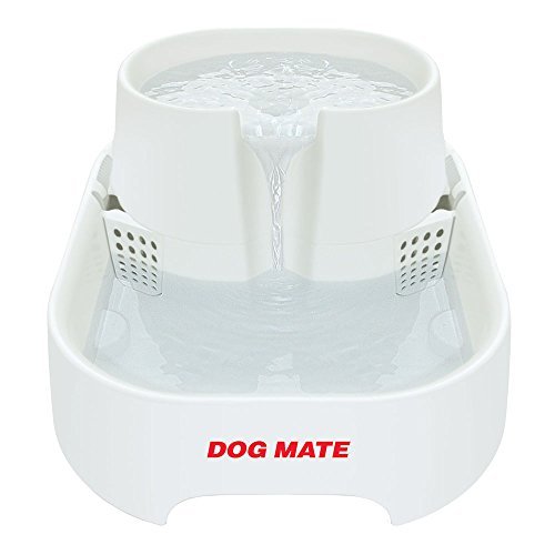 Petmate Dog Mate - Fuente Grande para Beber Agua Dulce para Perros y Gatos