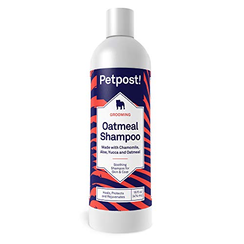 Petpost | Champú De Avena Y Manzanilla para Perros con Piel Seca: Cura, Protege Y Rejuvenece De Forma Natural La Piel Y El Pelaje De Los Perros: Fórmula De Avena, Manzanilla, Aloe Y Yuca (434 ml)