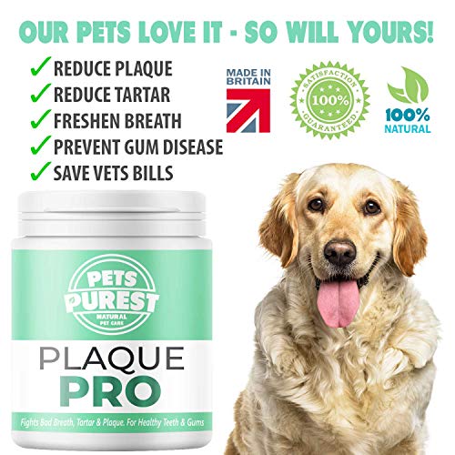 Pets Purest Polvo para Eliminación de Sarro y Placa para Perros, Cachorros y Gatos (180g) Plaque Clean 100% Natural para Animales. Limpia y Cuida Dientes Blancos y Encías. Ayuda contra el Mal Aliento